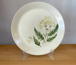 Johnson of Australia dinner plates