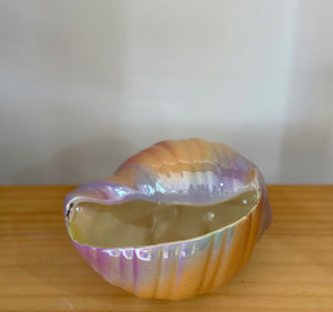 Lustre seashell bowl