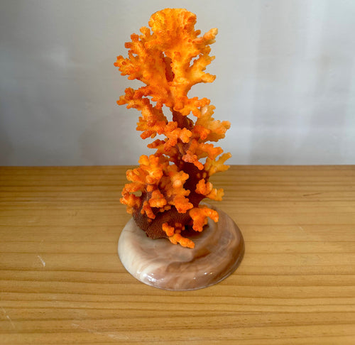 Vintage coral shell ornament