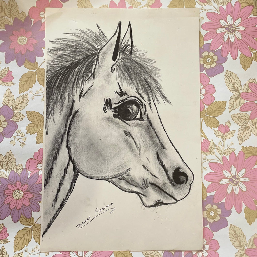 Vintage art print horse