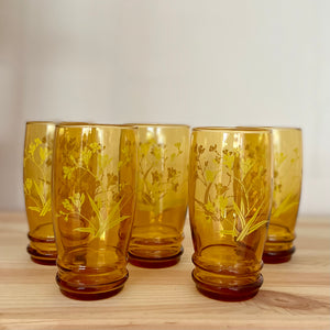 Set of 5 Amber floral glasses